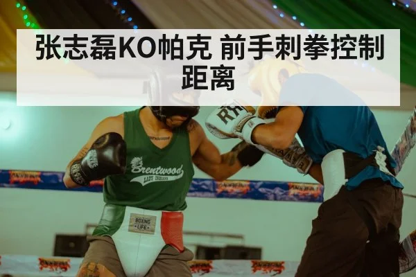 张志磊KO帕克 前手刺拳控制距离