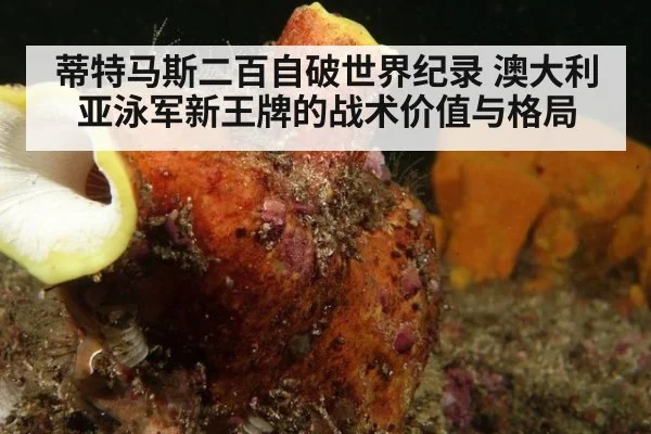 蒂特马斯二百自破世界纪录 澳大利亚泳军新王牌的战术价值与格局